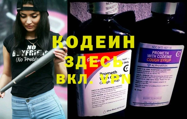 спиды Заводоуковск