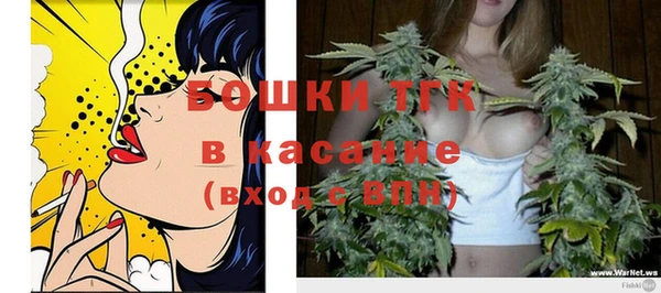шишки Покачи
