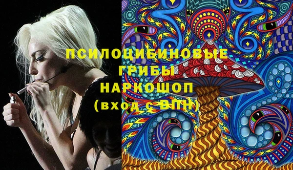 молекула духа Белоозёрский