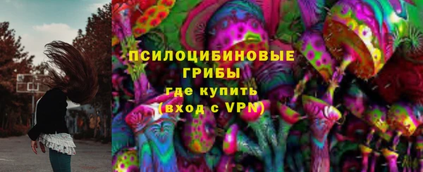 тгк Беломорск