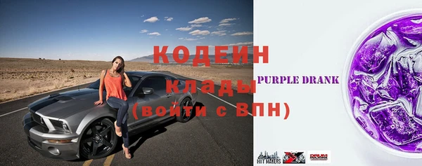 шишки Покачи