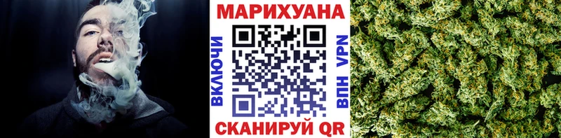купить   Чернушка  Бошки Шишки сатива 